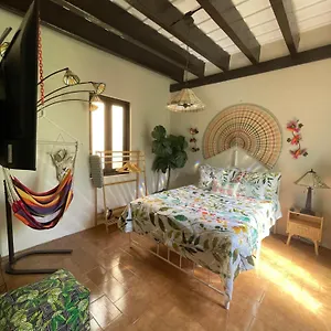The Garden Apartment, The Willow Apartment, & The Tropical At Casa Of Essence In Old San Juan